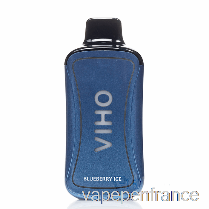 Viho Supercharge 20000 Stylo Jetable à Glace Aux Myrtilles